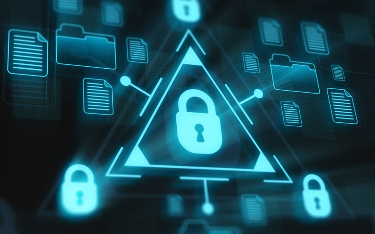 Software Penetration Testing