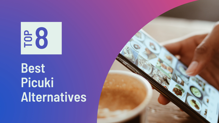 Picuki Alternatives