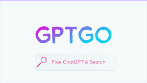 GPTGO Review