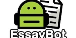 EssayBot