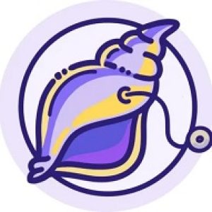 Conch AI