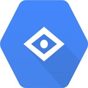 Vision AI