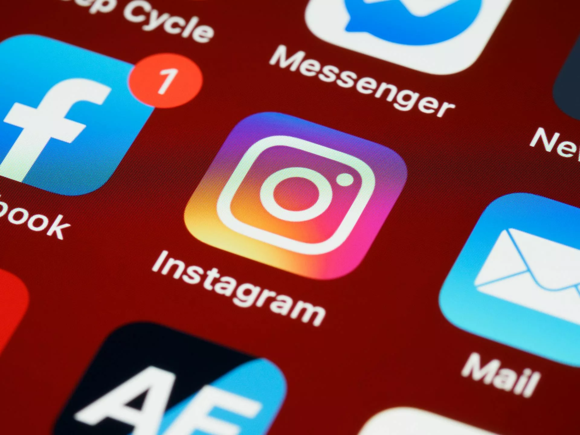 Top 5 Strategies to Grow Your Instagram Organically in 2024