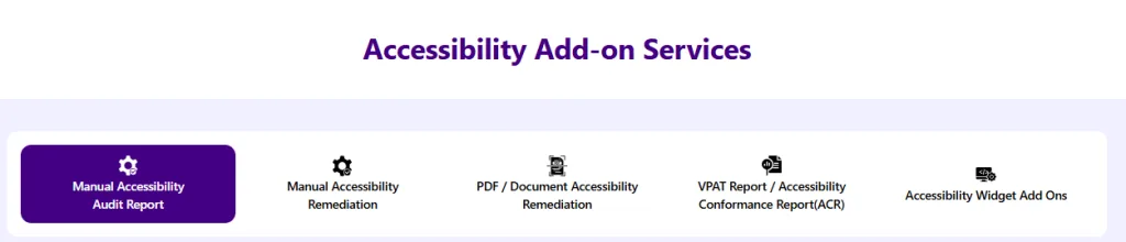 all in one accessibility skynet technologies addons.