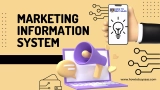 Marketing Information System: Best Guide and Tips for 2025